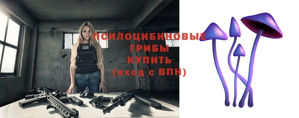эйфоретик Алзамай