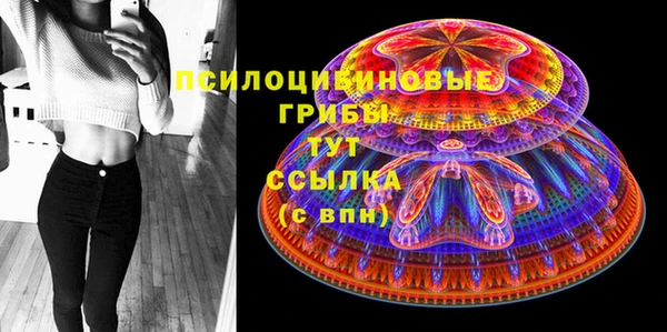 хмурый Абаза
