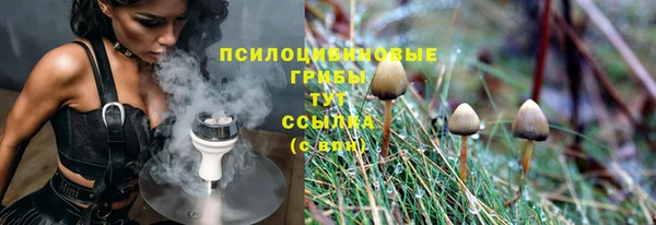 хмурый Абаза