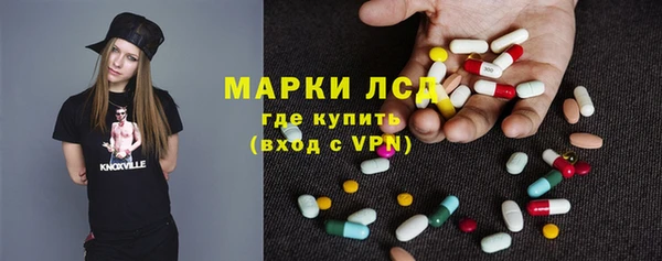 хмурый Абаза