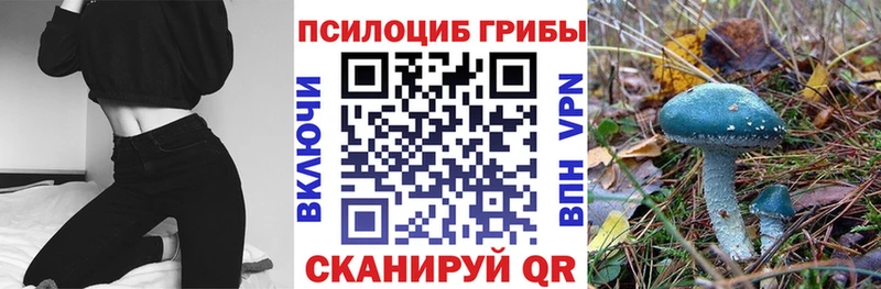 дарнет шоп  Иланский  Псилоцибиновые грибы прущие грибы 